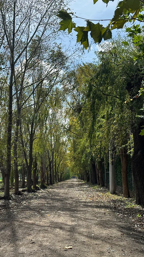 El Cardal - Barrio Cerrado